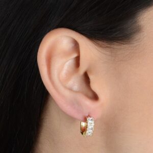 Brinco Argolinha cravejado